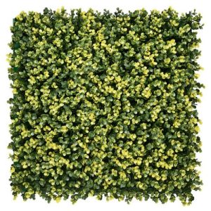 Zöldfal - Luxbux 50x50 cm (buxus hatás, sűrű és látványos)