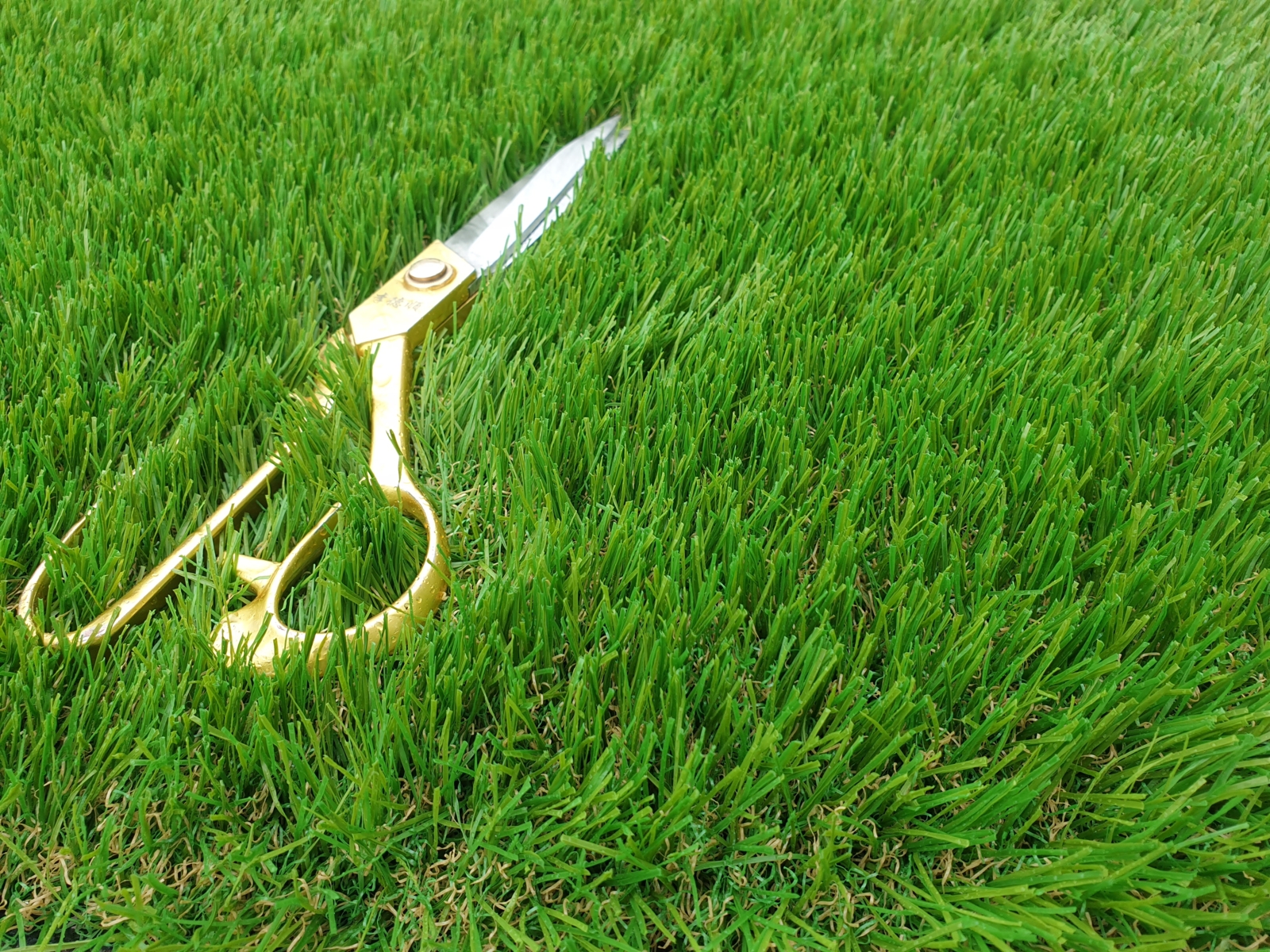 Harmony 45 mm "A királyi pompa" 8900 Ft/m²