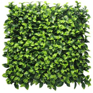 Zöldfal - Green Spark 50x50 cm (világoszöld, frissítő üde hatás)